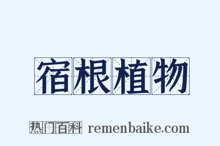 宿根植物是什么意思的图片